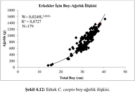 Tablo 4.9: C. carpio Boy-Ağırlık Değerleri. 