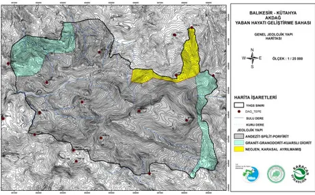 ġekil 4.4: Jeoloji haritası 