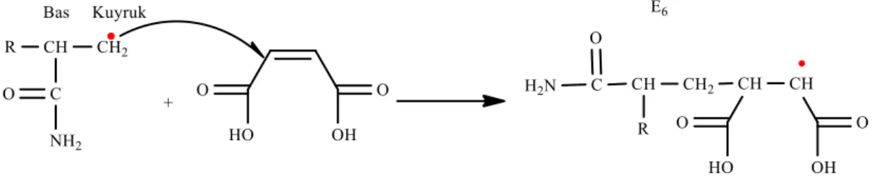 Şekil 2.15: Akrilamit radikalinin kuyruk kısmından maleik asit monomerine bağlanması 