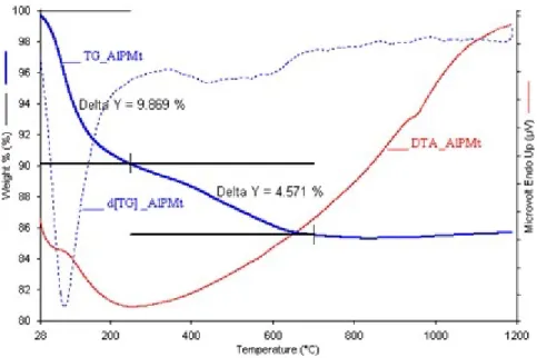 Fig. 11. TG and DTA thermograms of AlPMt 