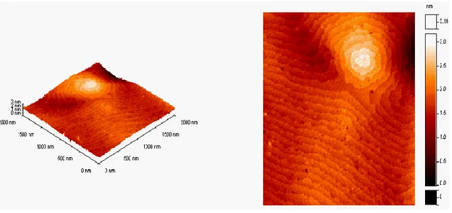 Şekil 3.2: Al 0,43 Ga 0,57 N / Al 2 O 3  yarıiletken ince filminin 200 ºC’de tavlandıktan  sonra görüntülenen 2x2 µm 2  tarama alanlı AFM görüntüleri [19]