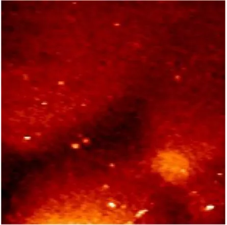 Şekil 3.9: Al 0,43 Ga 0,57 N / Al 2 O 3  yarıiletken ince filminin 1000 ºC’de tavlandıktan  sonra görüntülenen 2x2 µm 2  tarama alanlı AFM görüntüleri [19]