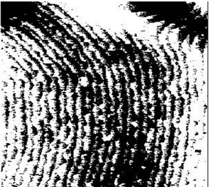 Şekil 3.12: Al 0,43 Ga 0,57 N / Al 2 O 3  yarıiletken ince filminin 200 ºC’de binary formatına  alınmış fotoğrafı