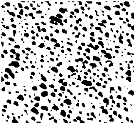 Şekil 3.16: Al 0,43 Ga 0,57 N / Al 2 O 3  yarıiletken ince filminin 1150 ºC’de binary  formatına alınmış fotoğrafı