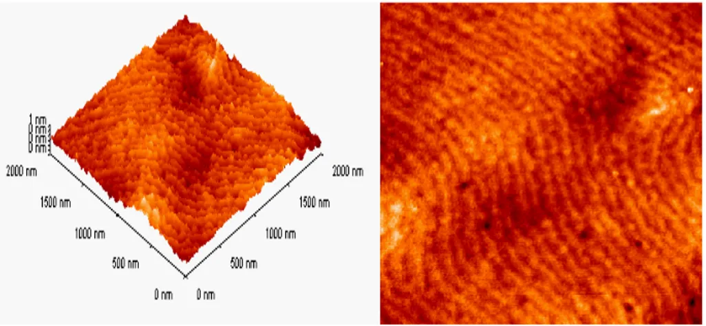 Şekil 4.13  Çoklu yapı-1 numunesinin 900 o C’de tavlandıktan sonra görüntülenen 2x2  µm 2  (rms değeri 0,104 nm) tarama alanlı AFM görüntüleri 