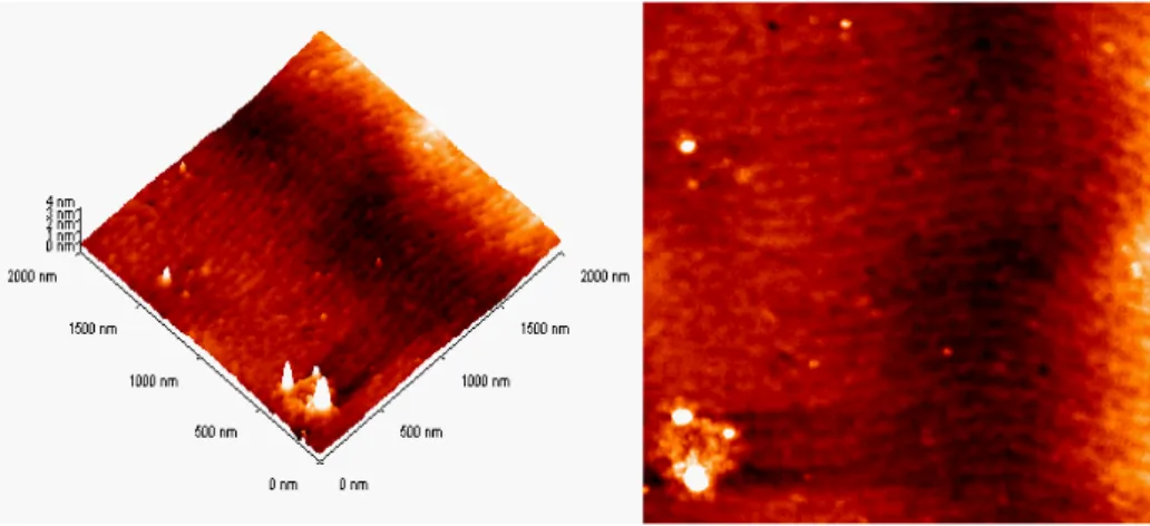 Şekil 4.15  Çoklu yapı-1 numunesinin 960 o C’de tavlandıktan sonra görüntülenen 2x2  µm 2  (rms değeri 0,292 nm) tarama alanlı AFM görüntüleri 