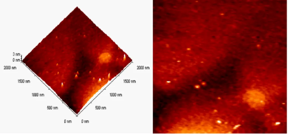 Şekil 4.17  Çoklu yapı-1 numunesinin 1000 o C’de tavlandıktan sonra görüntülenen  2x2 µm 2  (rms değeri 0,326 nm) tarama alanlı AFM görüntüleri 