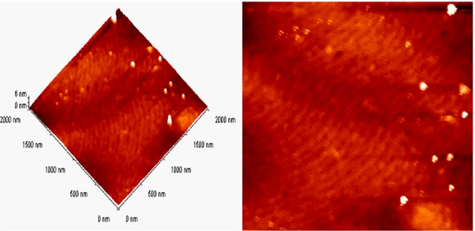 Şekil 4.19  Çoklu yapı-1 numunesinin 1050 o C’de tavlandıktan sonra görüntülenen  2x2 µm 2  (rms değeri 0,256 nm) tarama alanlı AFM görüntüleri 