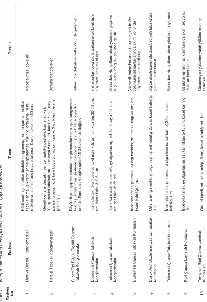 Çizelge 1. Çaybağı Formasyonu’na ait fasiyes tanımlamaları ve yorumları. Table 1.Interpretations and descriptions of facies of Çaybağı Formation
