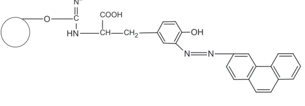 Figure 1. Schematic representation of the Sepharose-4B- L  -tyrosine-3-aminophenan-trene hydrophobic gel
