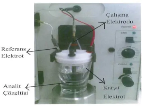 Şekil 1.3 :Elektrokimyasal çalışmalarda kullanılan  üç elektrotlu hücre sistemi
