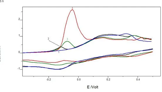 Şekil 3. 10: EBT/Au/GCE ile Sb davranışı (1) 10 -5  M kuersetin, (2) 5 mg/L Sb + 10 -5  M kuersetin, (3)  10 mg/L Sb + 10 -5  M kuersetin, (4) 20 mg/L Sb  + 10 -5  M kuersetin (0.1 M pH 5 asetik asit/asetat  tamponu, t d : 10 s, E baş : 500 mV, E bit: : -8