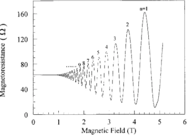 Fig. 8. Oscillation peak number n ver- ver-sus reciprocalmagnetic fiel d. The open circles correspond to  experimen-taldata, the straight l ine is the best fit to experimentaldata