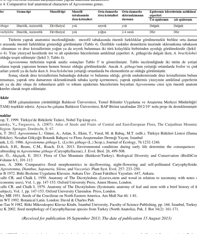 Table 4. Comparative leaf anatomical characters of Agrostemma genus. 
