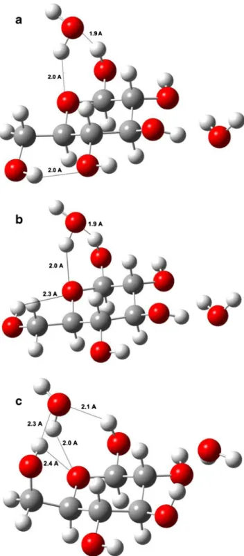 Fig. 6 Considered complexes with explicit two water molecules, six and five membered hydrogen bond cyclic systems of t (a), g+ (b) and  g-(c) rotamers of β-glucopyranose with water