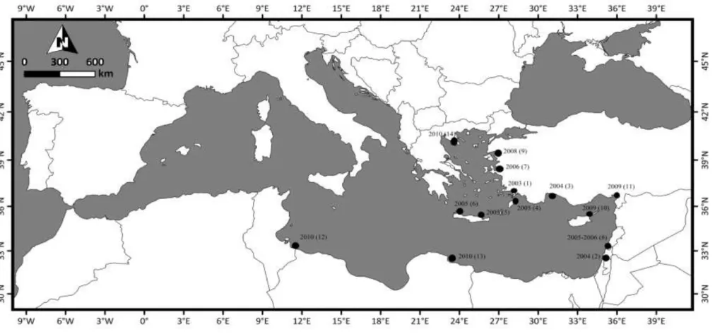 ġekil 2.6: L. sceleratus türünün dağılım haritası: 1, (Akyol vd., 2005); 2, (Golani ve Levy 2005); 3-7, (Bilecenoğlu vd., 2006); 4, (Corsini vd., 2006); 5-6, (Kasapidis  vd., 2007); 8, (Carpentieri vd., 2009); 9, (Türker-Çakır vd., 2009); 10, (Katsanevakis