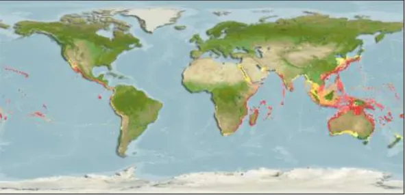ġekil 4.2:Balon balığı L. sceleratus‟un dünya üzerindeki genel dağılımı (Aquamaps, 2013) 