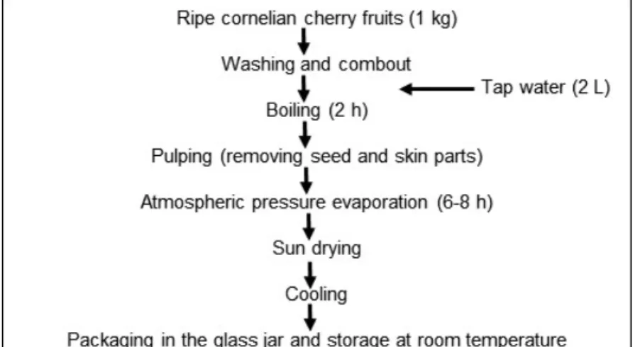 Figure 1.  Production of traditional Cornelian cherry marmalade (garagurt).