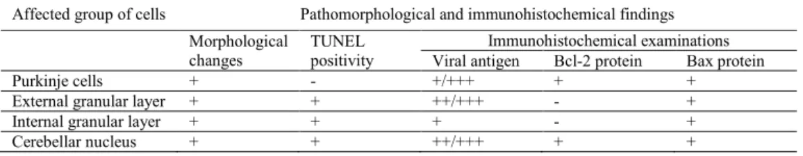 Table 1. Changes in cerebellum cells affected with rabies virus 