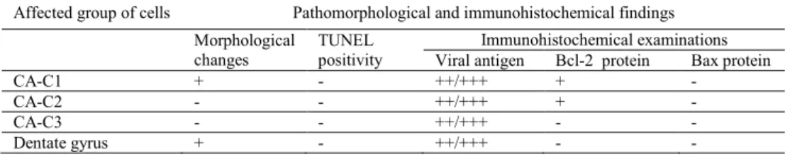 Table 2. Changes in cornu ammonis cells affected with rabies virus 