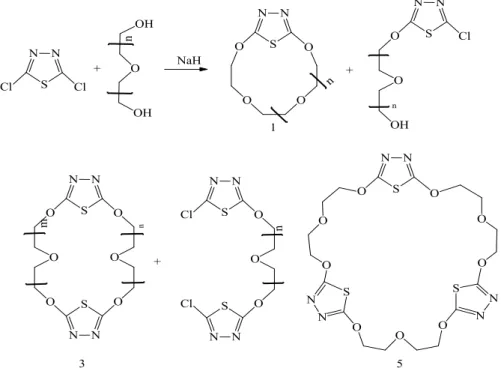 Şekil 1.18: Tiyadiazol kullanılarak yapılan halkalaşma reaksiyonları. 