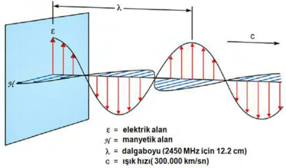Şekil 2.2: Mikrodalgalarda elektrik ve manyetik alan bileşenleri [48].