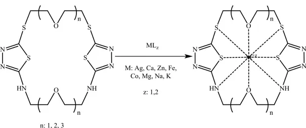 Şekil 4.2: Sentezlenen 2-amino-5-merkapto-1,3,4-tiyadiazol  taç eterlerin metaller ile  oluşturması beklenen kompleksleşme yapısı