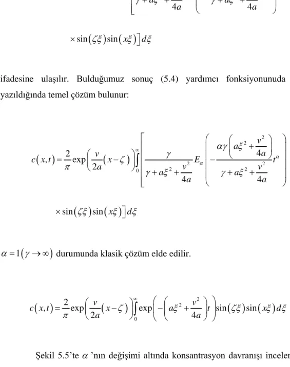 Şekil 5.5’te  α ’nın değişimi altında konsantrasyon davranışı incelenmiştir. 