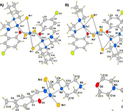 Figure 2. ORTEP drawing (40 % probability ellipsoids) of complex 3. Same scheme is applied to complex 2 replacing methyl C14 with a H atom.