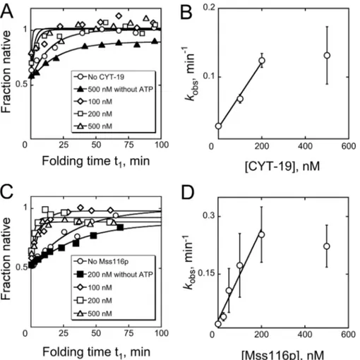 FIGURE 7. Acceleration of ribozyme refolding by DEAD box proteins CYT-19 and Mss116p. A and B, progress curves and protein concentration depend- depend-ence for ribozyme refolding in the presdepend-ence of CYT-19
