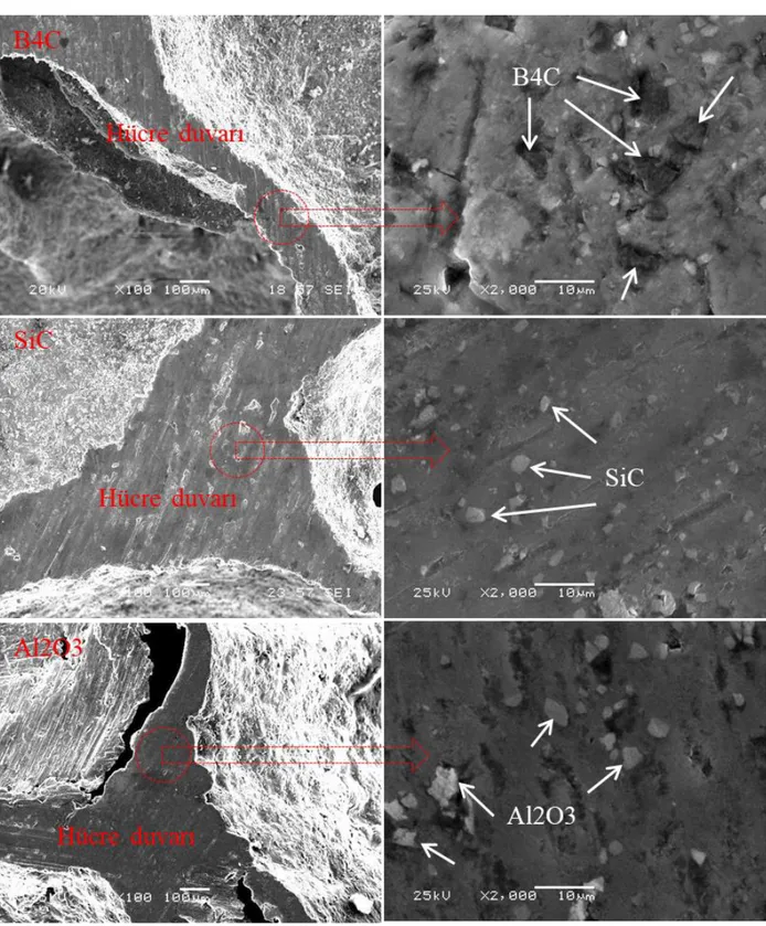 Şekil 7. ASK malzemelerin hücre içerisinden alınan SEM resim görüntüleri (Images of SEM images taken from the cell of the ASF  materials) 
