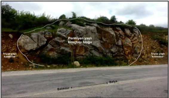 Şekil  4.  3:  Triyas  yaşlı  kırıntılı  sedimanter  kayaçlar  ve  Permiyen  yaşlı  kireçtaşı  blokların  yakından görünümü   