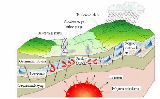 Şekil 2.1 İdeal Bir Jeotermal Sistemin Şematik Gösterimi [36]. 