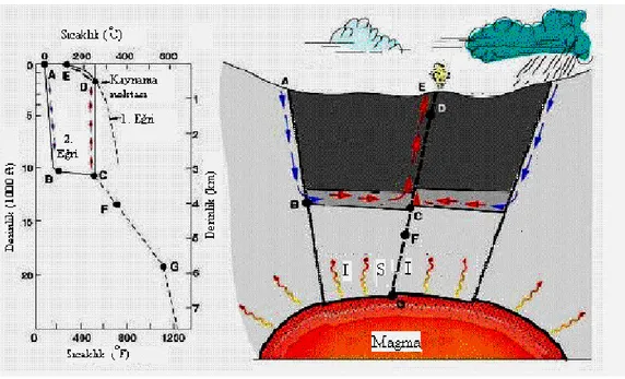 Şekil 2.2 Jeotermal Sistem Modeli.  