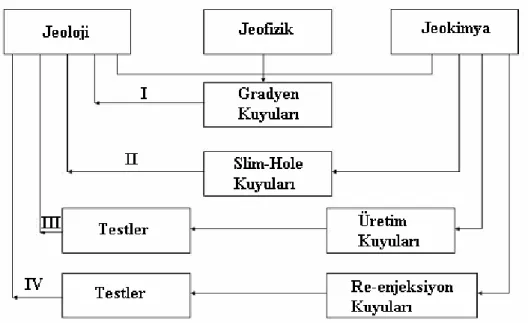 Şekil 2.3  Jeotermal Proje Aşamaları  [41] .