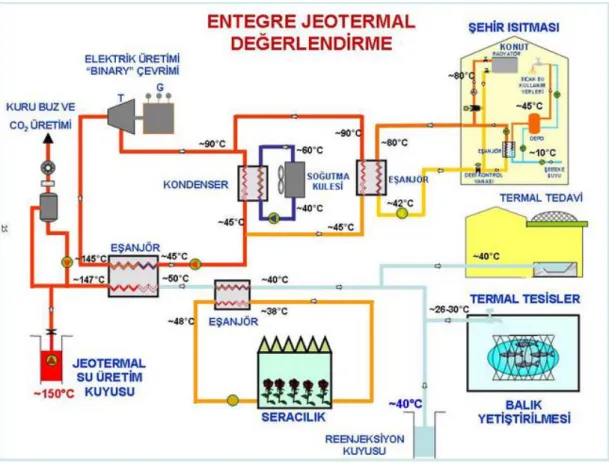 Şekil 4. Jeotermal Değerlendirme  Kaynak: Jeotermal Derneği, Jeotermal Enerji Nedir?, 