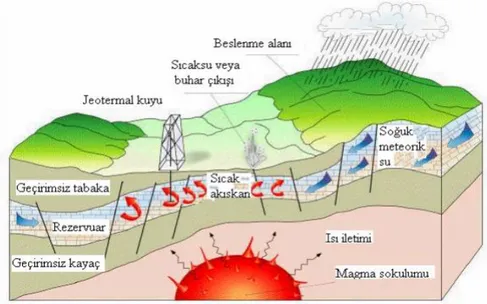 Şekil 5. Jeotermal Sistemin Şematik Gösterimi 