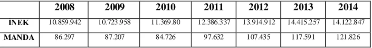 Tablo  1.1: 2008-2014 yılları arasında,  Balıkesir bölgesinde bulunan  inek  ve  manda  sayısındaki  değişim  (Balıkesir  İl  Gıda  Tarım  ve  Hayvancılık  Müdürlüğü,  14  Mayıs  2015) 
