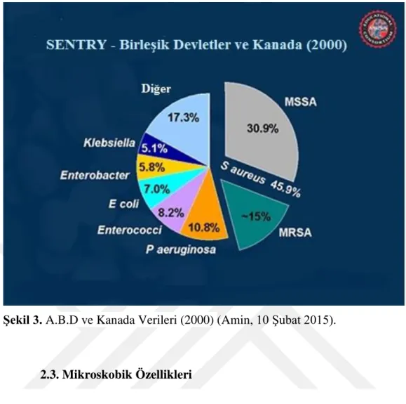 Şekil 3. A.B.D ve Kanada Verileri (2000) (Amin, 10 Şubat 2015). 