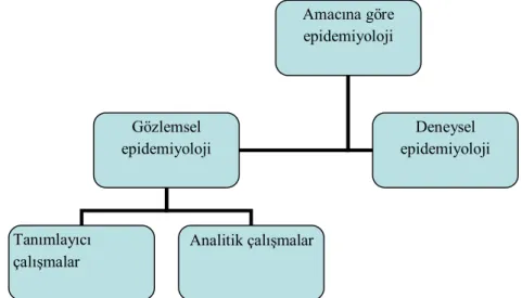 Şekil 2.6 Gözlemsel epidemiyolojik çalışmalar 