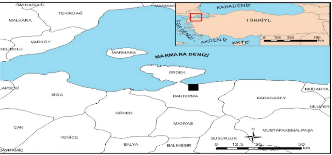 Şekil 1: Çalışma Alanı Lokasyon Haritası