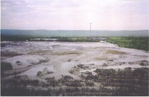 Şekil  11:  Edincik  civarındaki  tavukhaneler  tarafından  çevreye  bırakılmış  ve  yağmur  sularına  karışmış  tavukhane atıkları