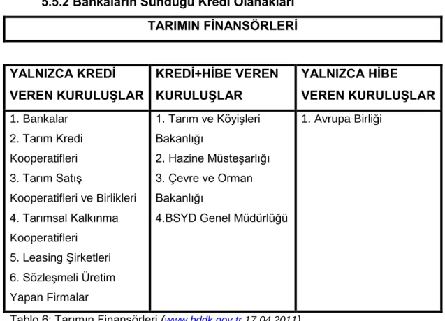 Tablo 6: Tarımın Finansörleri ( www.bddk.gov.tr 17.04.2011 ). 