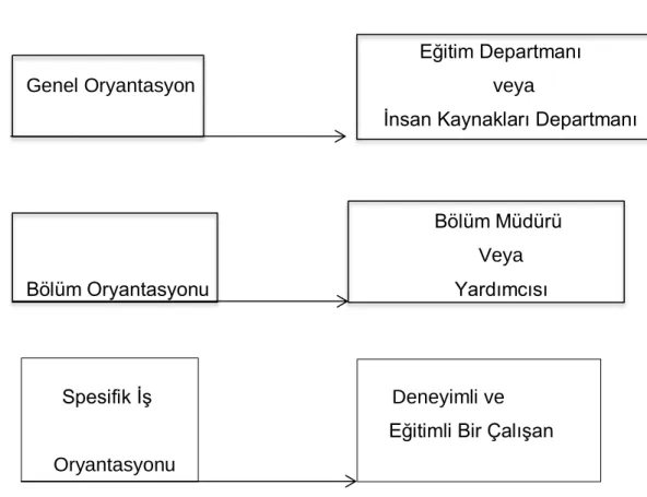 Şekil 2: Oryantasyon Süreci 