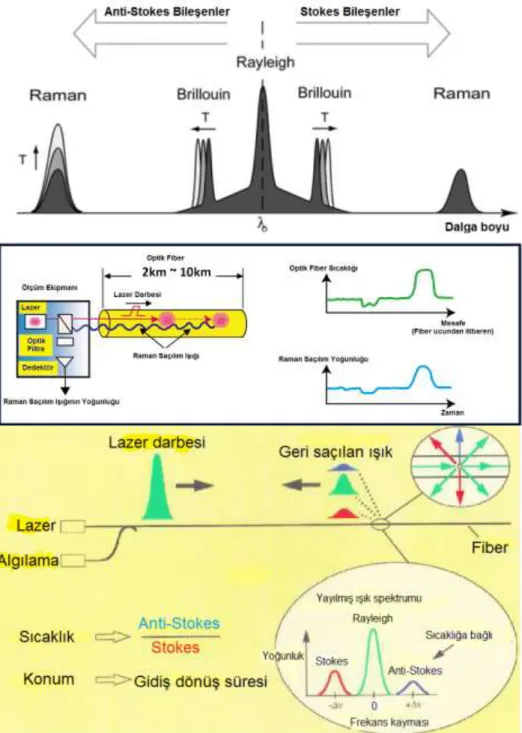 Şekil 8- Raman Saçılımı[30]. 