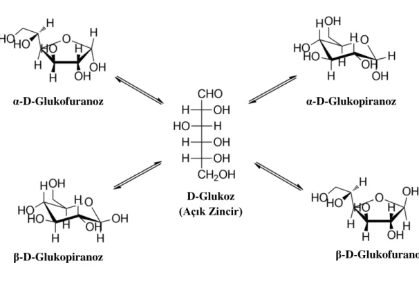 Şekil 3.1: Glukozun anomer dengesi. 