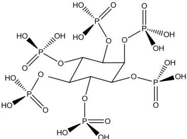 Şekil 1.5: Hidroksiapatitin moleküler yapısı. 