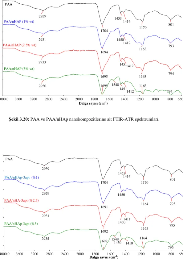 Şekil 3.20: PAA ve PAA/nHAp nanokompozitlerine ait FTIR-ATR spektrumları. 