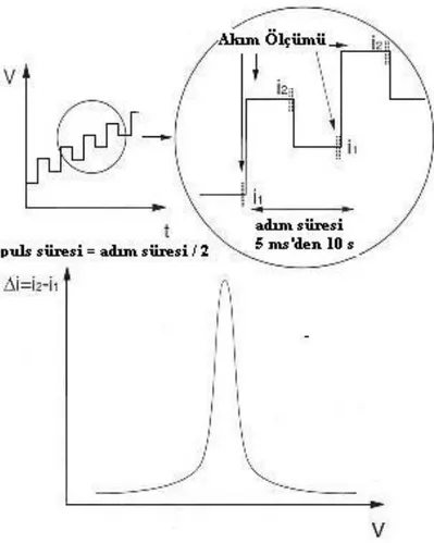 ġekil 1.8 Kare-Dalga voltammetrisi tarama programı ve voltammogramı 