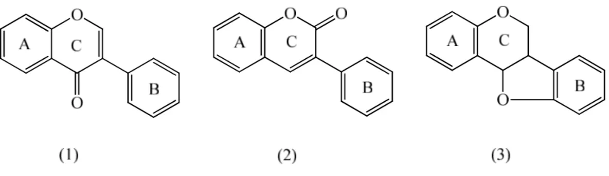 Şekil 2.5: (1)İzoflavon, (2)3-Fenilkumarin, (3)Pterokarpan. 
